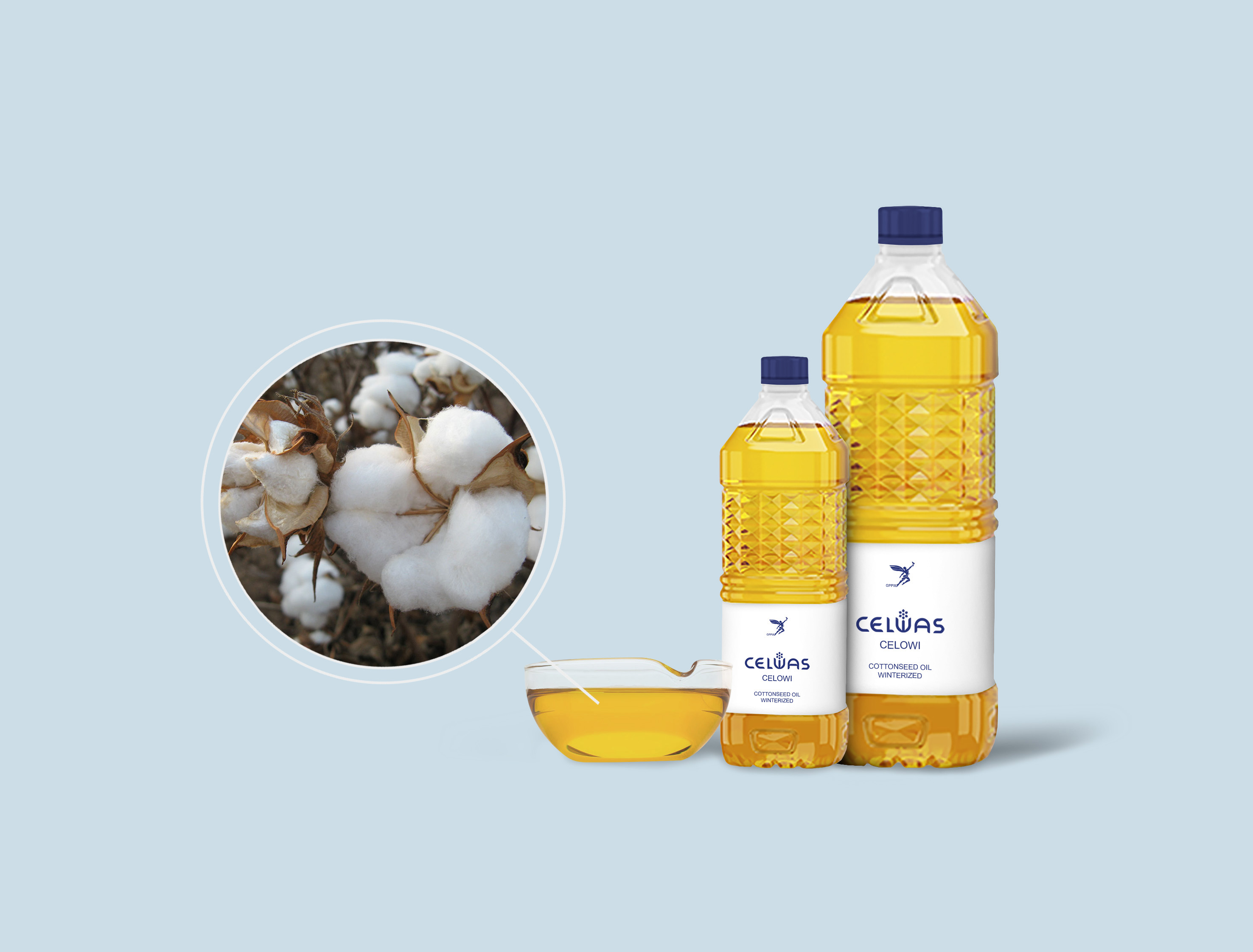 CELOWI<br />cottonseed oil, winterized