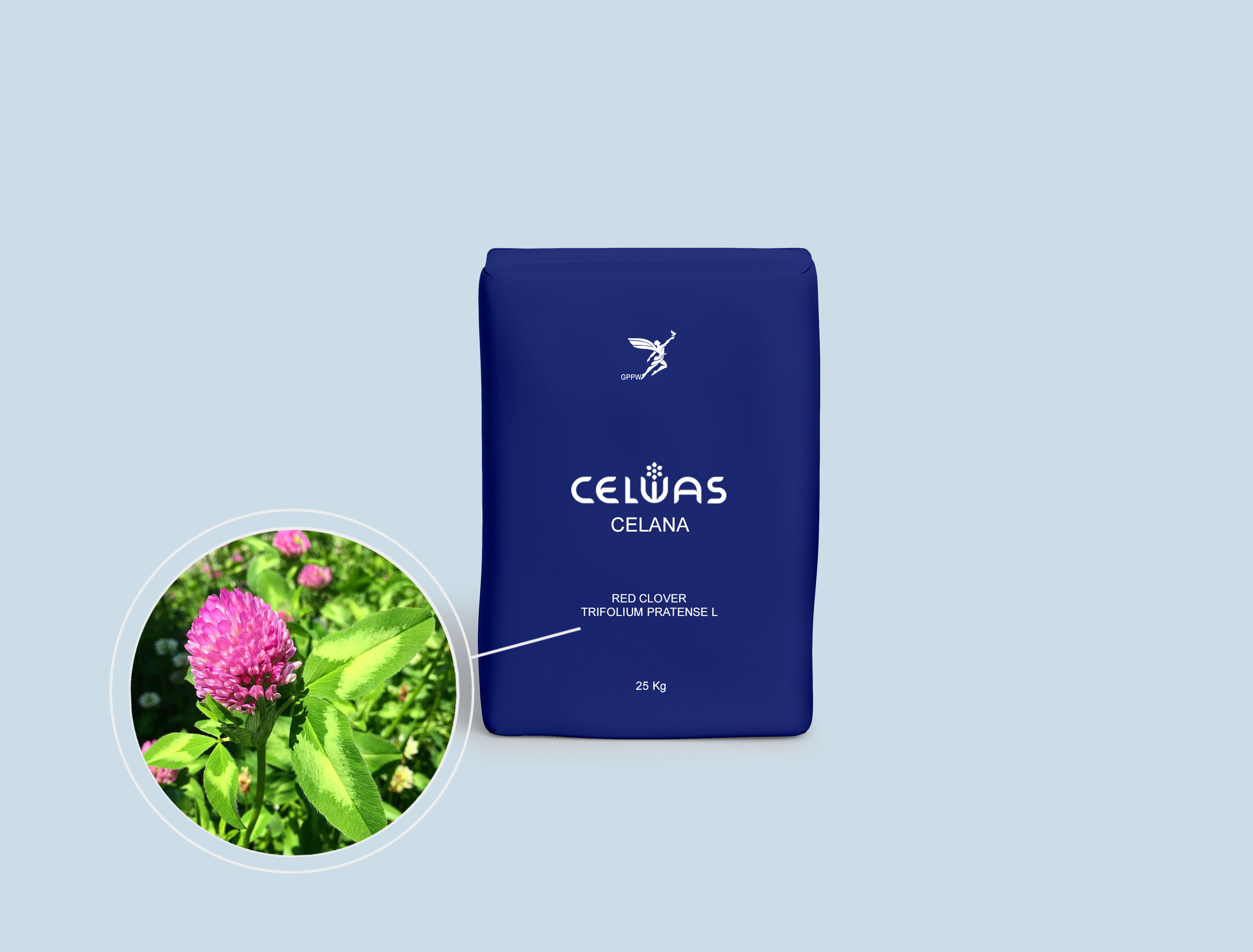 CELANA<br />fodder grasses and legumes