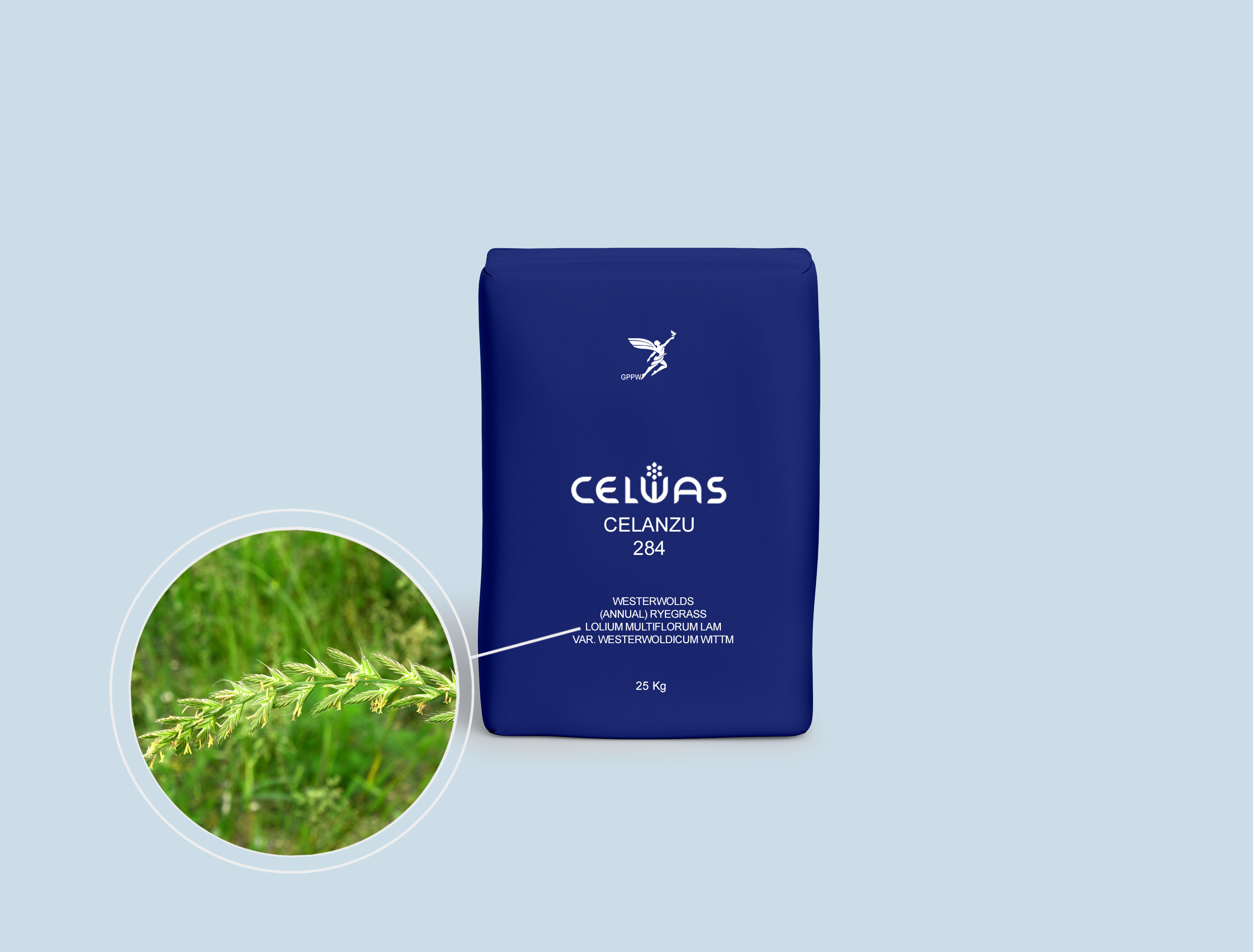 CELANZU 284<br />fodder grasses and legumes