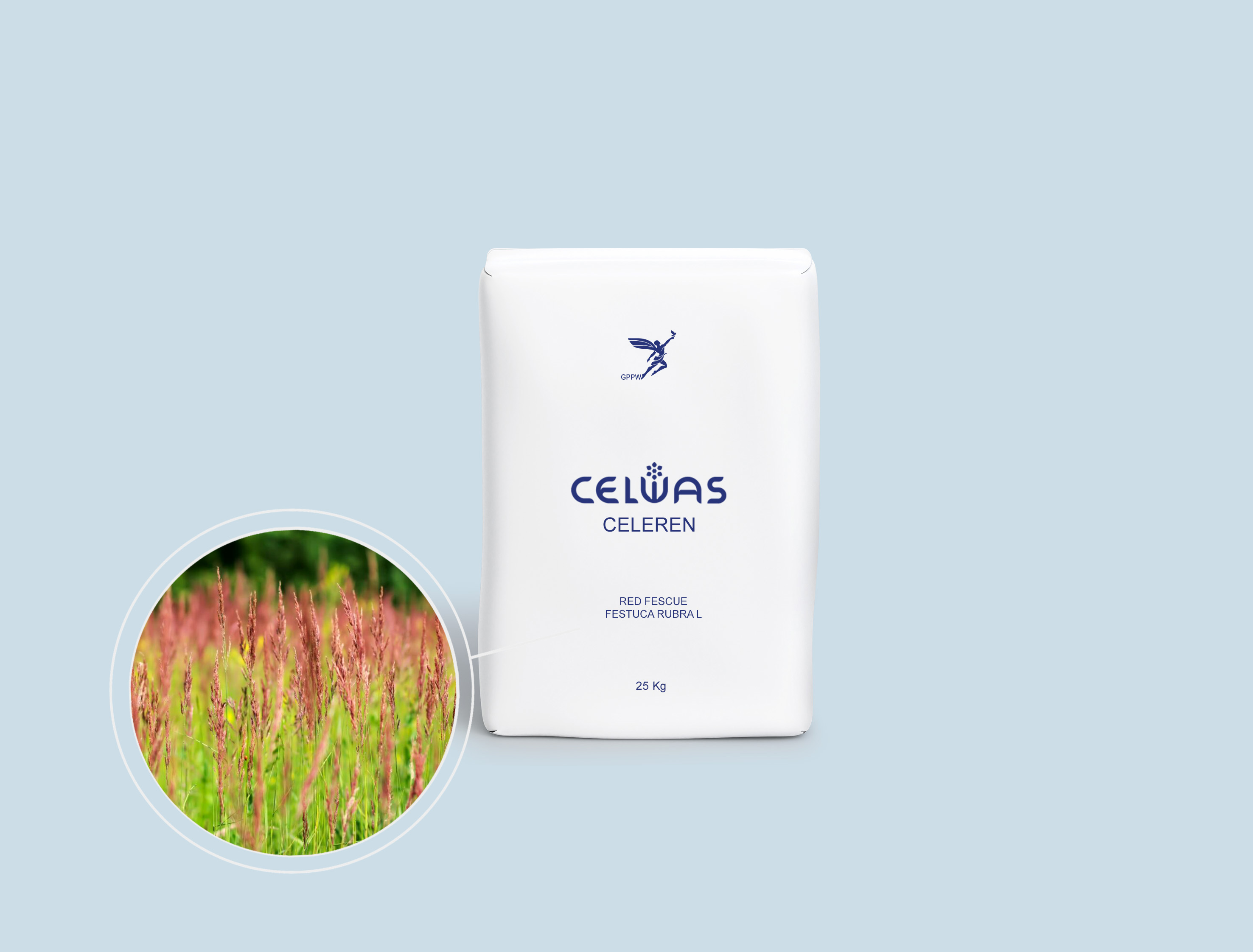 CELEREN<br />fodder grasses and legumes