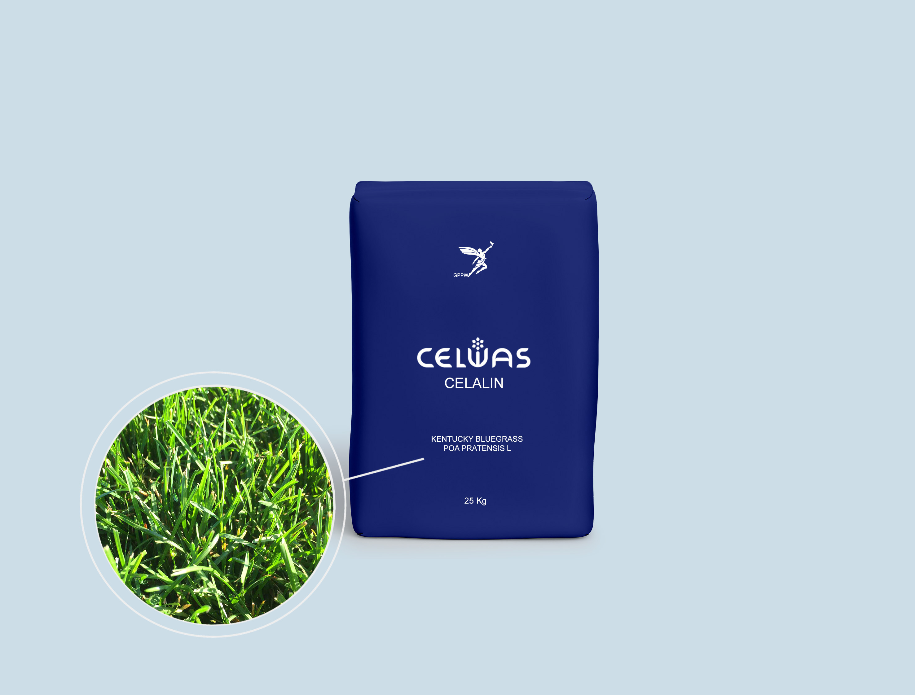 CELALIN<br />fodder grasses and legumes