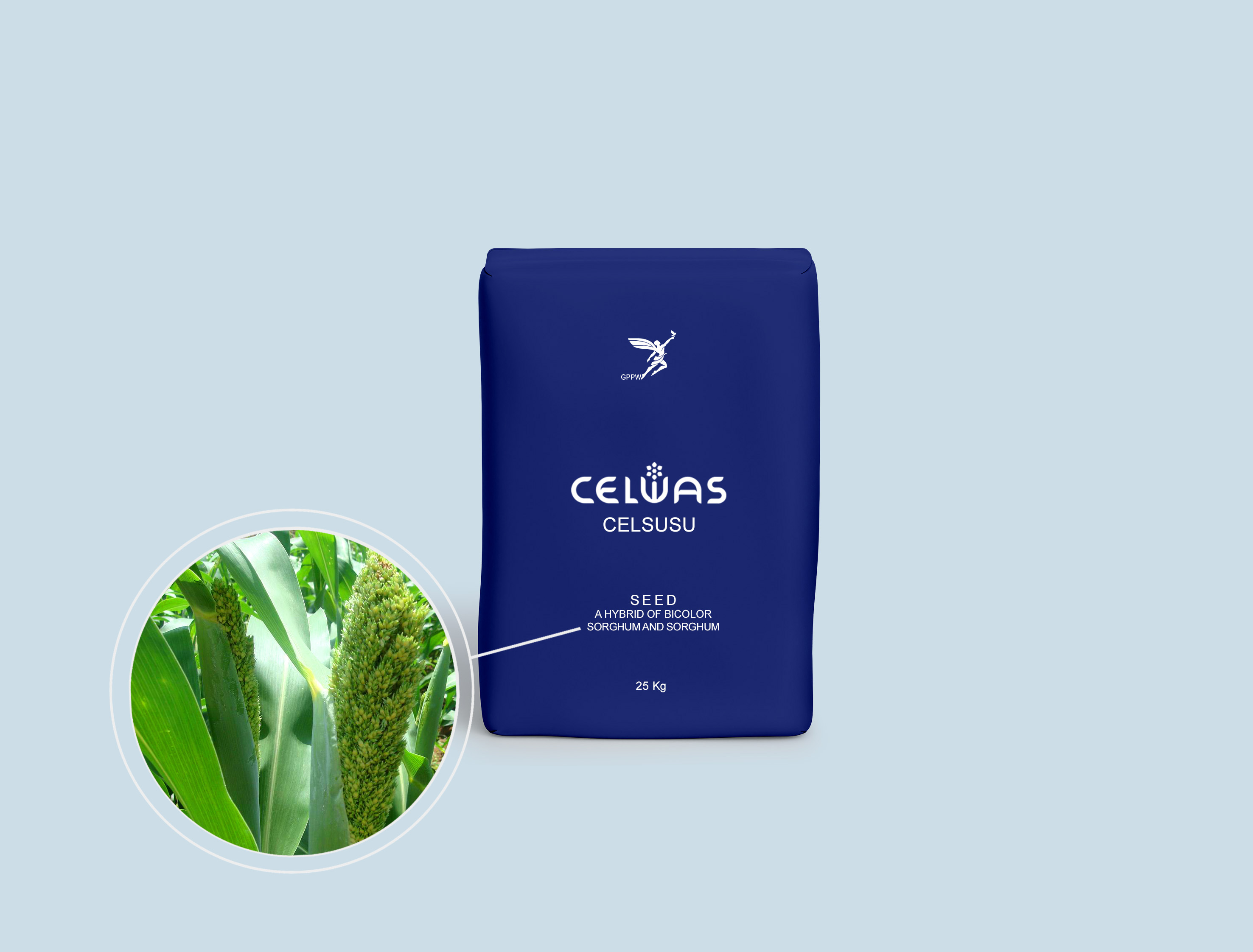 CELSUSU<br />fodder plants