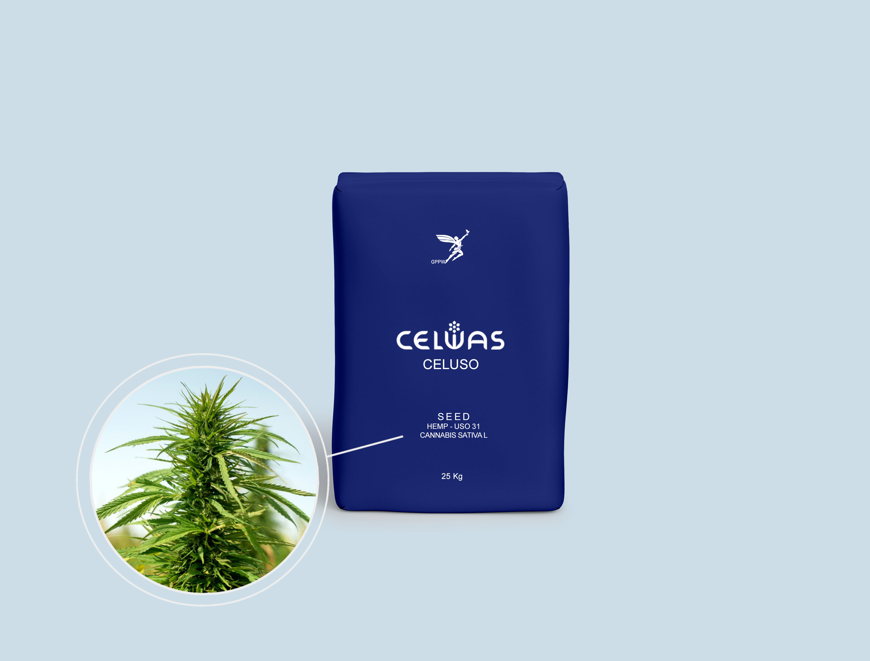 CELUSO<br />oil, seasoning plants