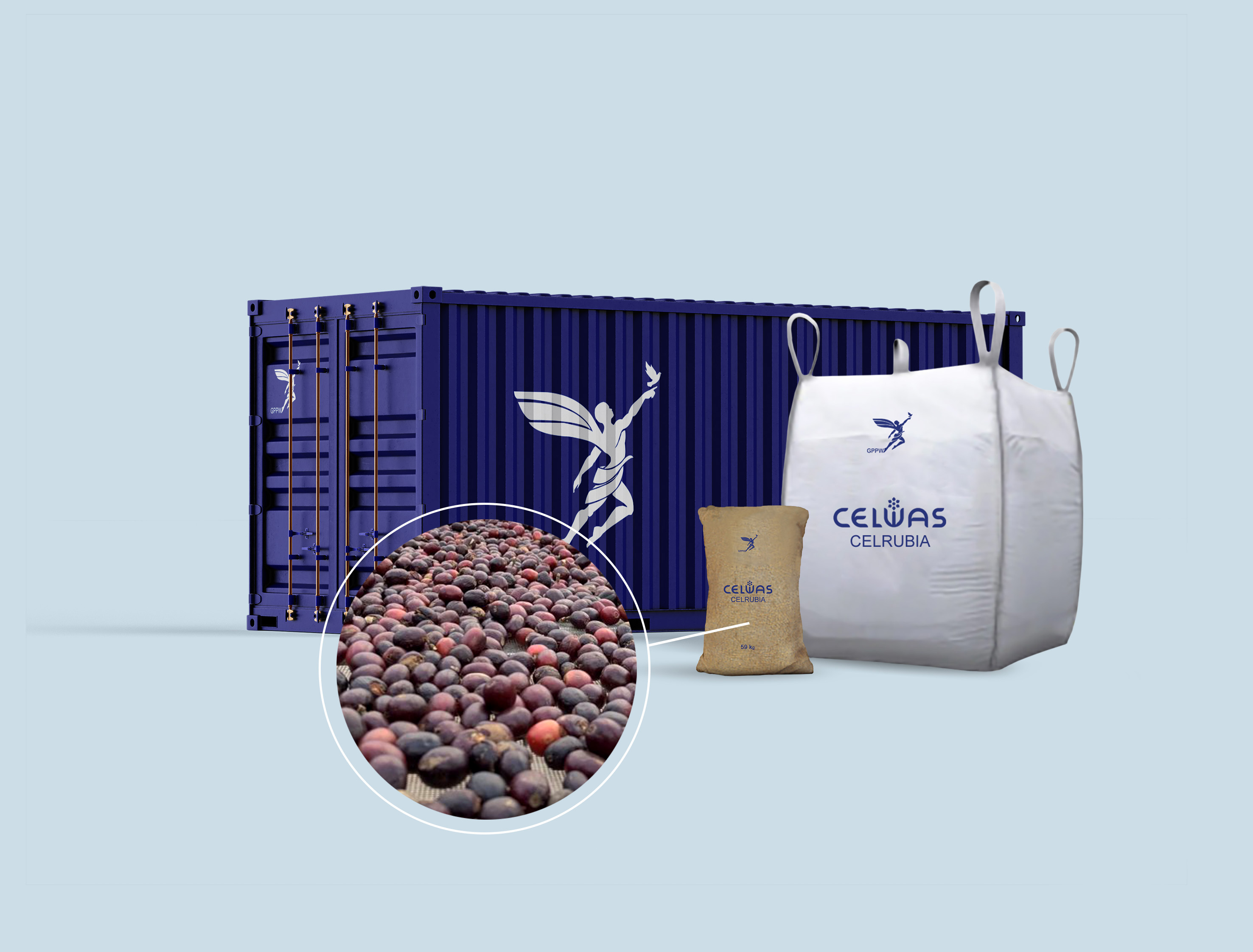 CELRUBIA<br />arabica green coffee beans