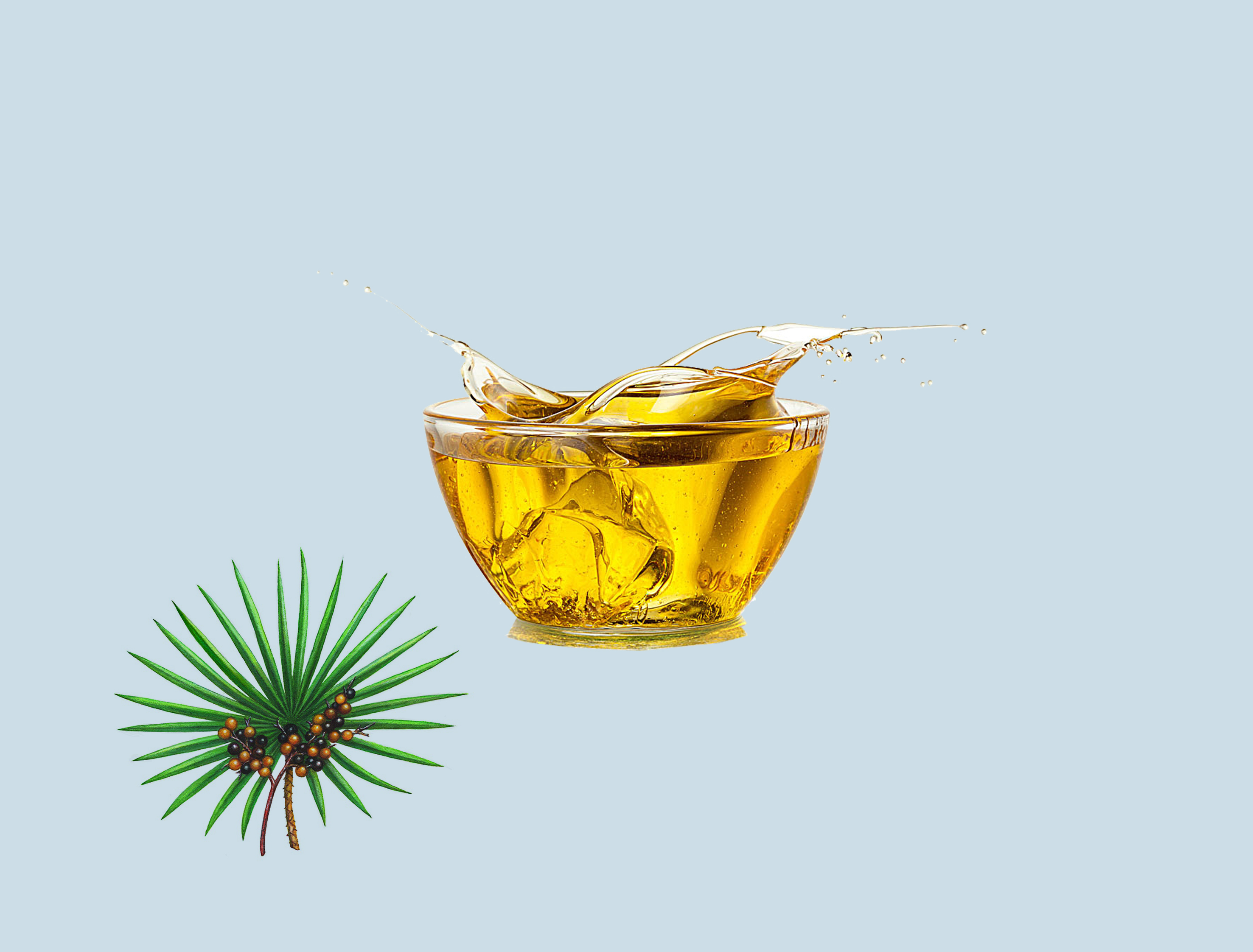 B-Saw Palmetto Extract