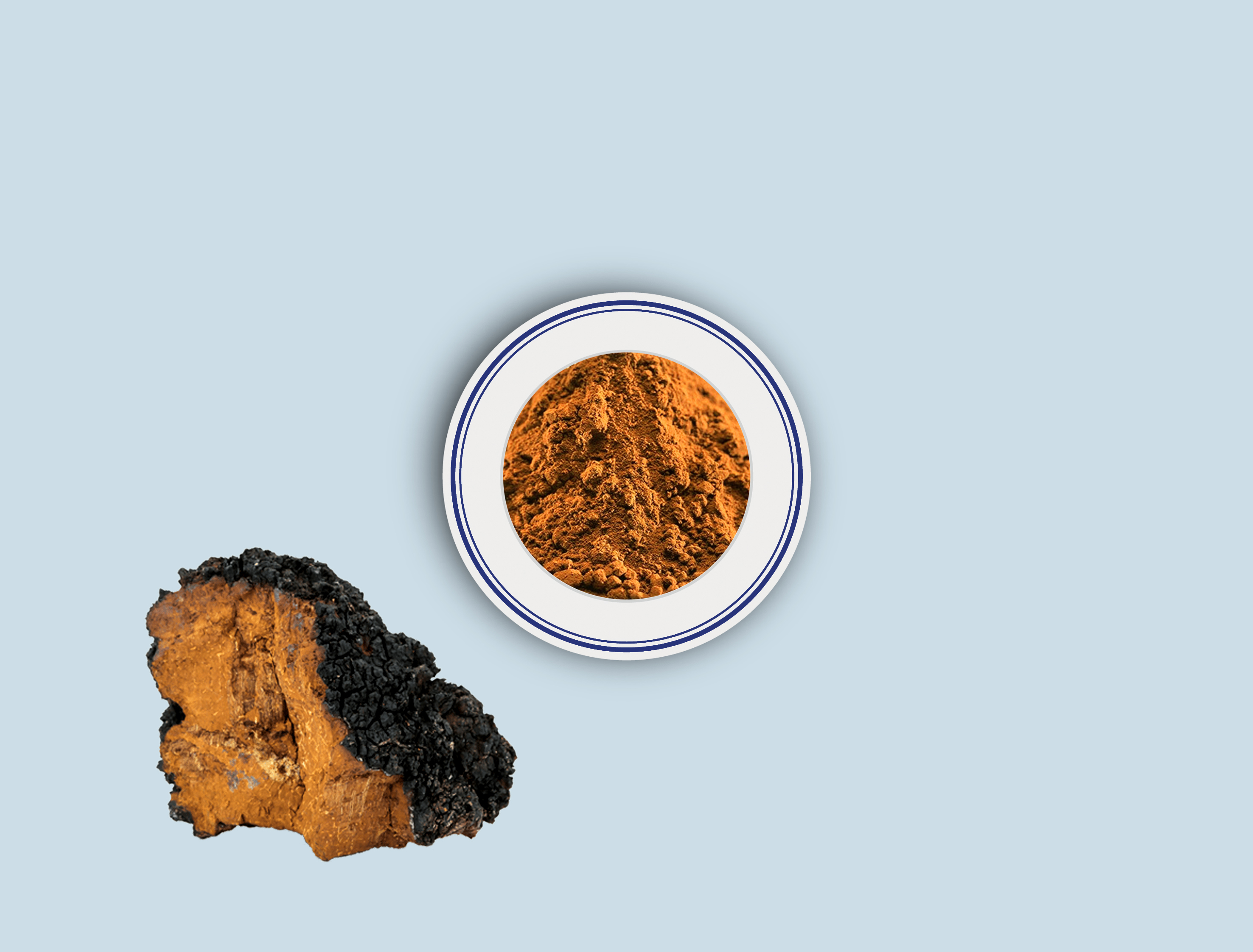 B-Chaga powder&extract