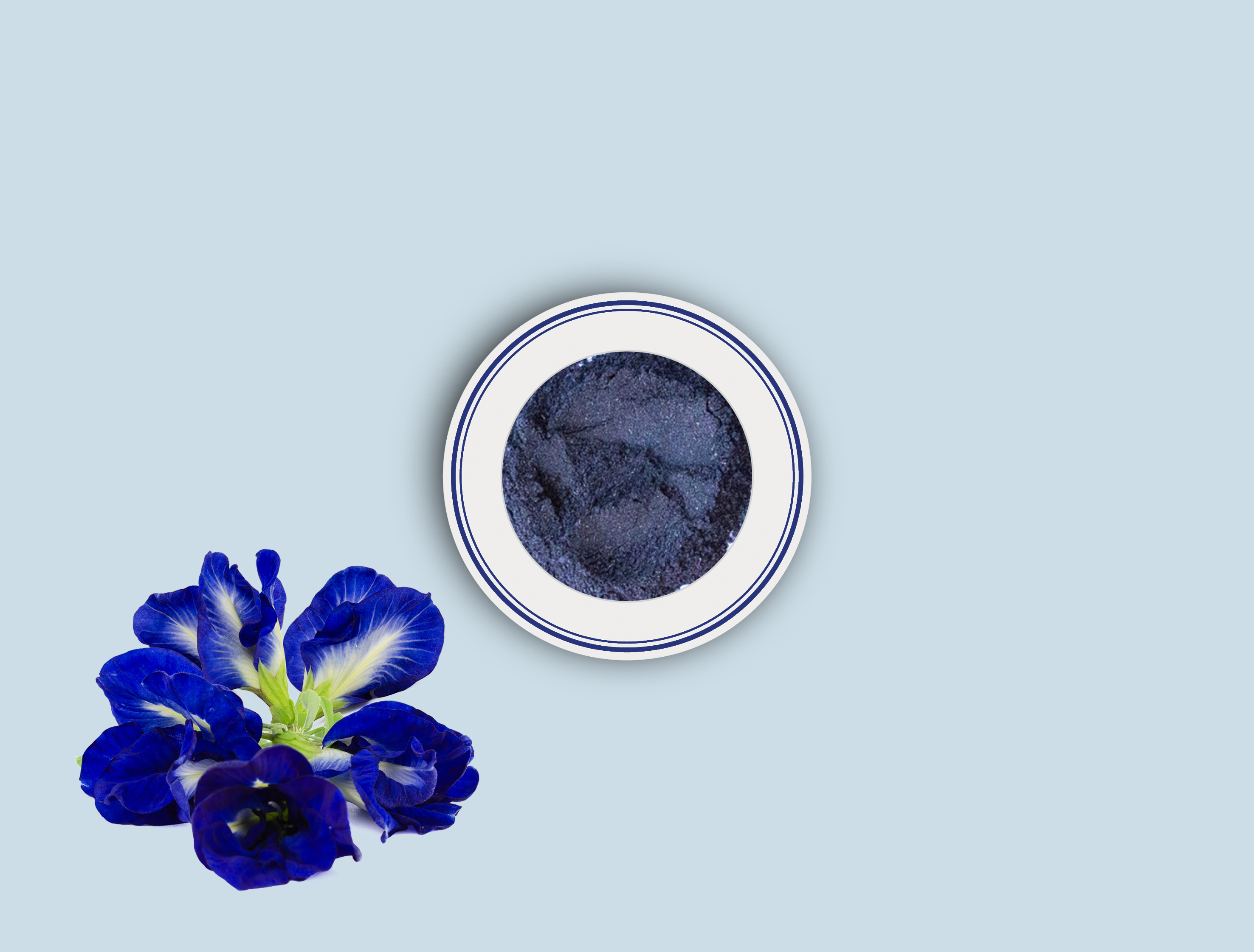 C-Butterfly Pea Flower Powder