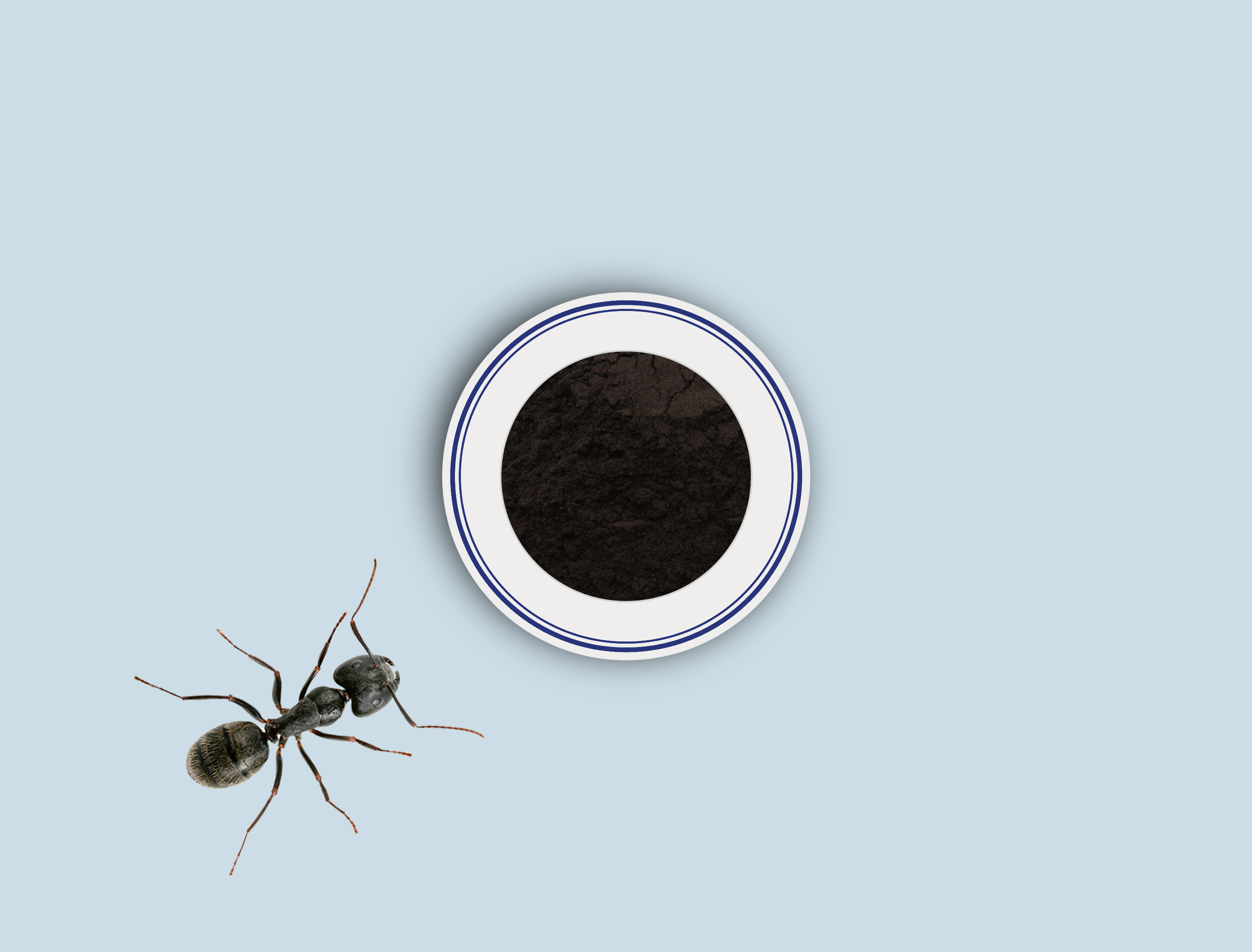 B-Black Ant Powder