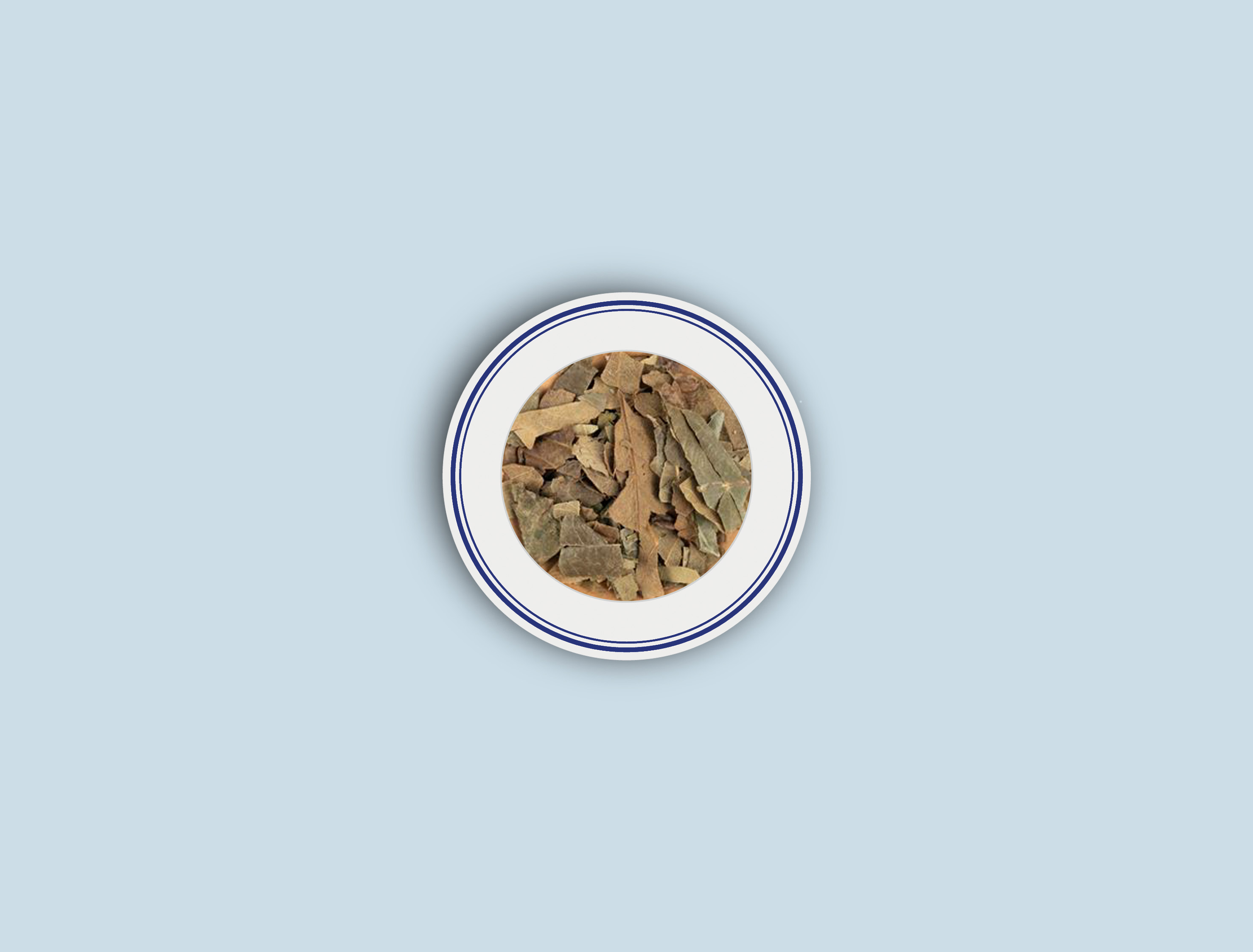 C-LOQUAT LEAVES<br /> Chinese Medicinal Herbs Folium Eriobotryae Pi Pa Ye Loquat Leaf