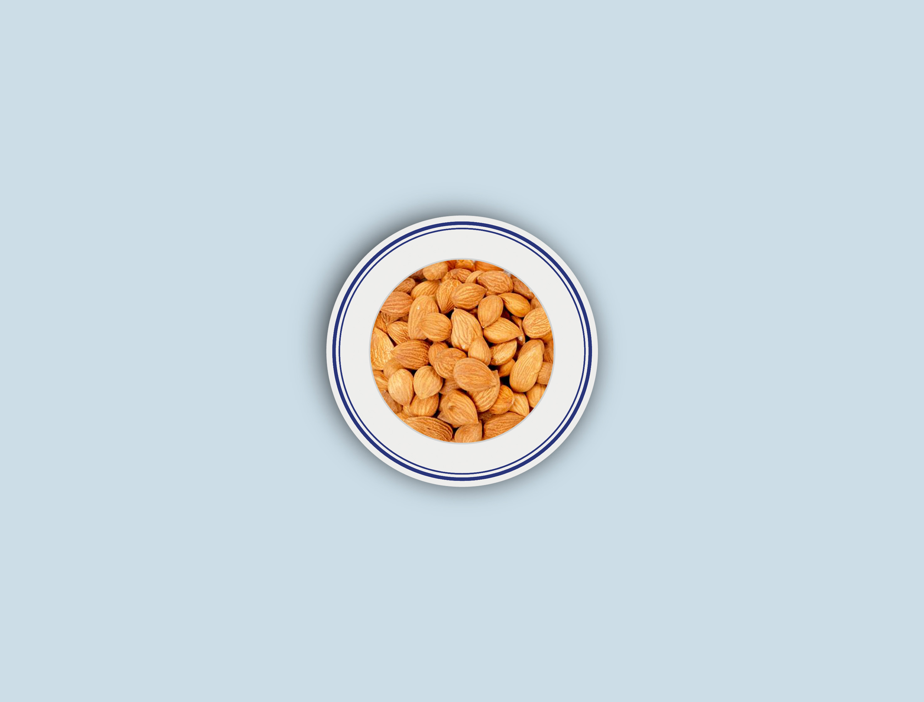 C-BITTER APRICOT SEED<br /> Dry Herbs Semen Armeniacae Amarum Dried Bitter Almond Kernels